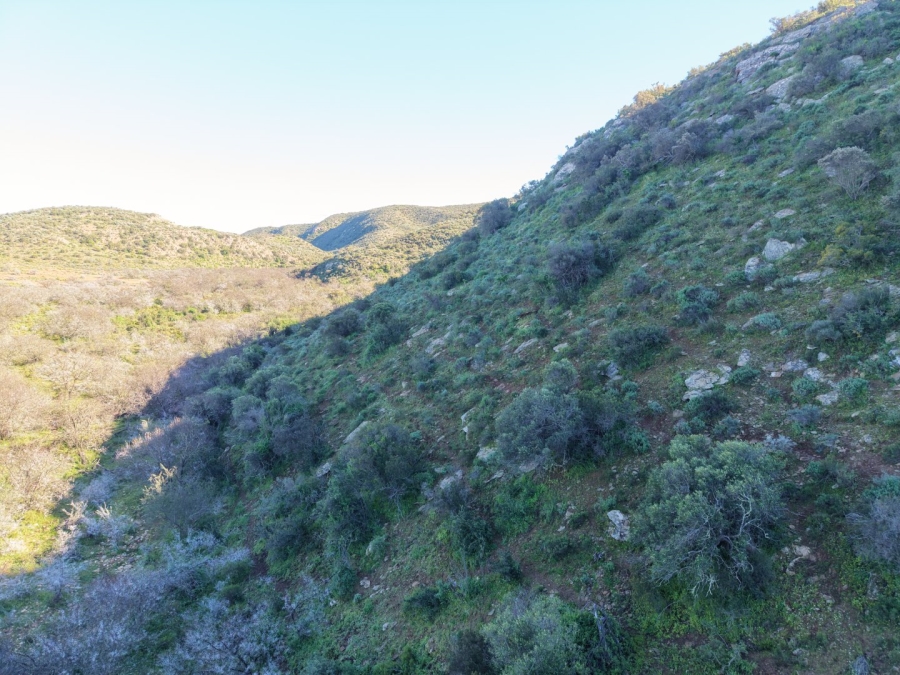 Commercial Property for Sale in Mossel Bay Rural Western Cape